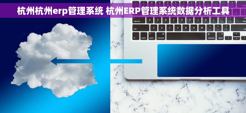 杭州杭州erp管理系统 杭州ERP管理系统数据分析工具