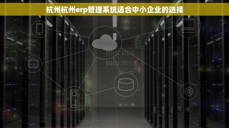 杭州杭州erp管理系统适合中小企业的选择