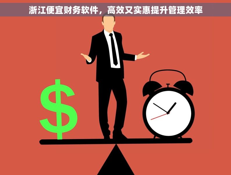 浙江便宜财务软件，高效又实惠提升管理效率
