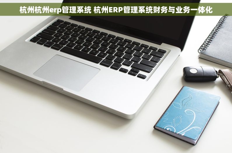 杭州杭州erp管理系统 杭州ERP管理系统财务与业务一体化