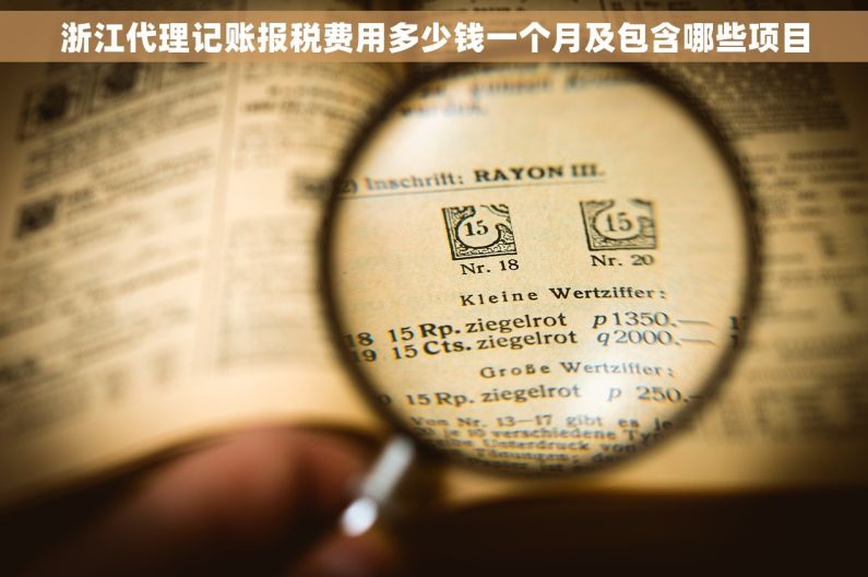 浙江代理记账报税费用多少钱一个月及包含哪些项目