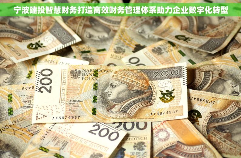 宁波建投智慧财务打造高效财务管理体系助力企业数字化转型