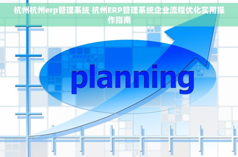 杭州杭州erp管理系统 杭州ERP管理系统企业流程优化实用操作指南