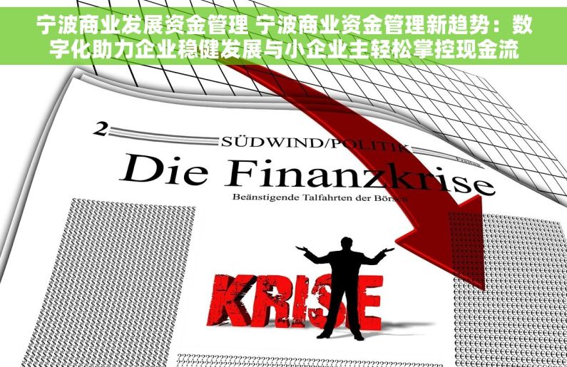 宁波商业发展资金管理 宁波商业资金管理新趋势：数字化助力企业稳健发展与小企业主轻松掌控现金流