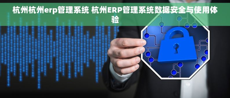 杭州杭州erp管理系统 杭州ERP管理系统数据安全与使用体验