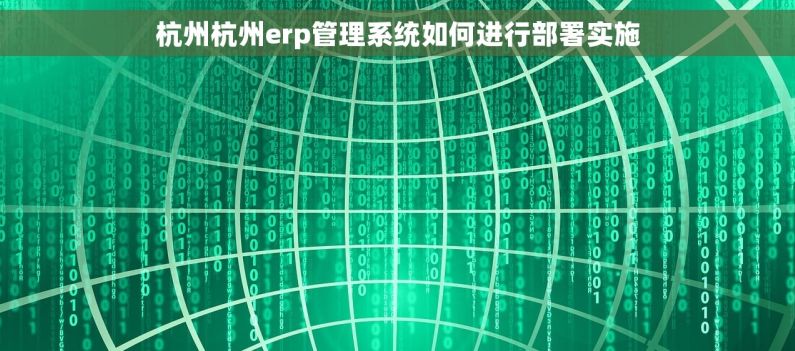 杭州杭州erp管理系统如何进行部署实施
