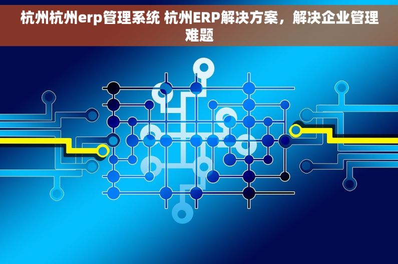 杭州杭州erp管理系统 杭州ERP解决方案，解决企业管理难题