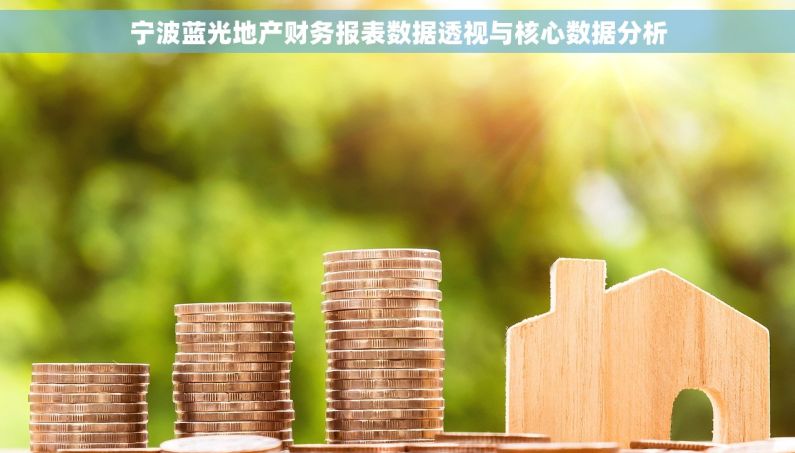 宁波蓝光地产财务报表数据透视与核心数据分析