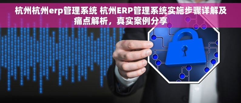 杭州杭州erp管理系统 杭州ERP管理系统实施步骤详解及痛点解析，真实案例分享