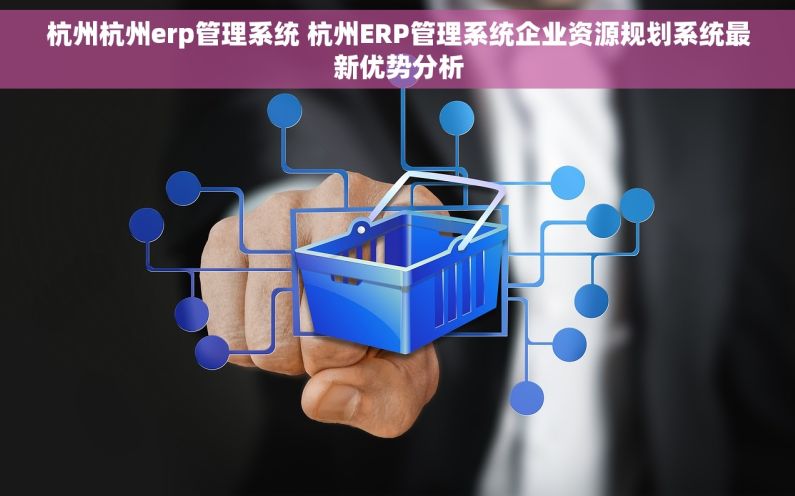 杭州杭州erp管理系统 杭州ERP管理系统企业资源规划系统最新优势分析