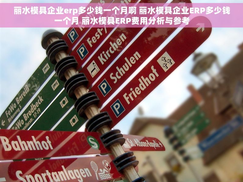 丽水模具企业erp多少钱一个月啊 丽水模具企业ERP多少钱一个月 丽水模具ERP费用分析与参考