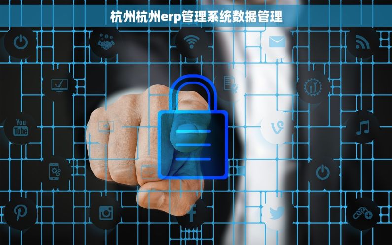 杭州杭州erp管理系统数据管理
