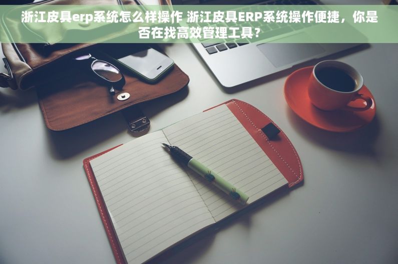浙江皮具erp系统怎么样操作 浙江皮具ERP系统操作便捷，你是否在找高效管理工具？