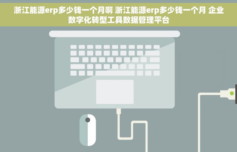 浙江能源erp多少钱一个月啊 浙江能源erp多少钱一个月 企业数字化转型工具数据管理平台