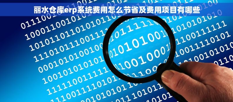丽水仓库erp系统费用怎么节省及费用项目有哪些