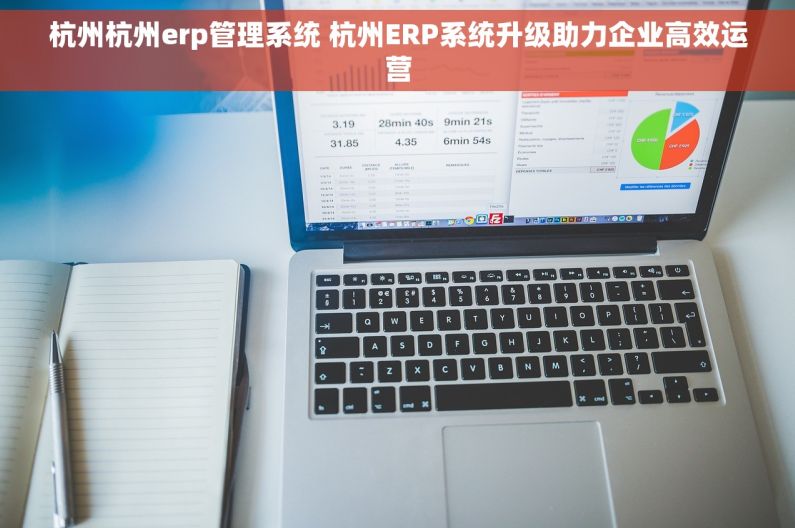 杭州杭州erp管理系统 杭州ERP系统升级助力企业高效运营