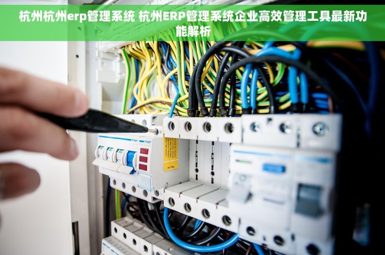 杭州杭州erp管理系统 杭州ERP管理系统企业高效管理工具最新功能解析