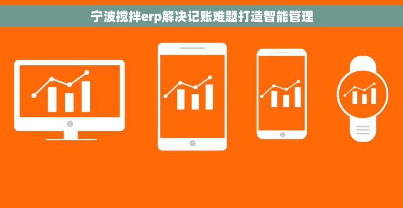 宁波搅拌erp解决记账难题打造智能管理