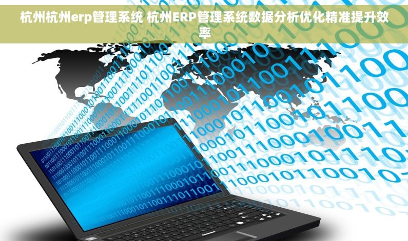 杭州杭州erp管理系统 杭州ERP管理系统数据分析优化精准提升效率