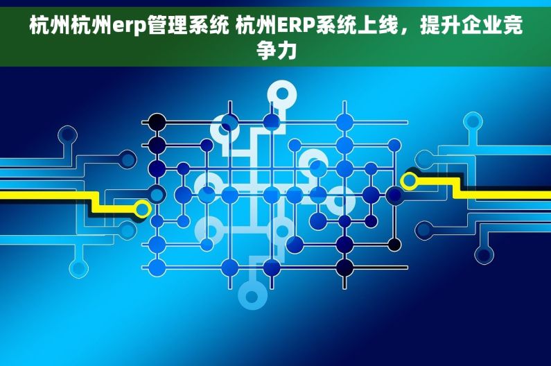 杭州杭州erp管理系统 杭州ERP系统上线，提升企业竞争力