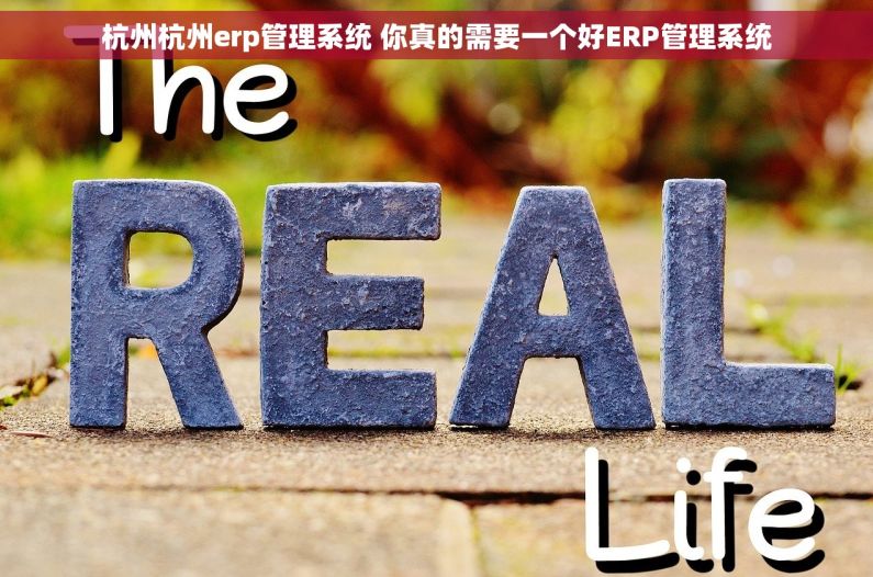 杭州杭州erp管理系统 你真的需要一个好ERP管理系统