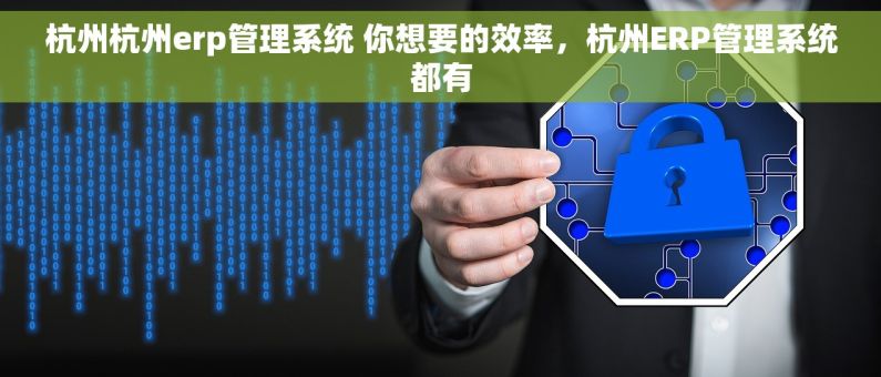 杭州杭州erp管理系统 你想要的效率，杭州ERP管理系统都有