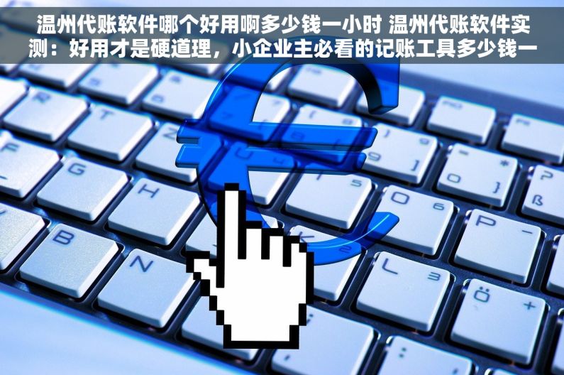 温州代账软件哪个好用啊多少钱一小时 温州代账软件实测：好用才是硬道理，小企业主必看的记账工具多少钱一小时
