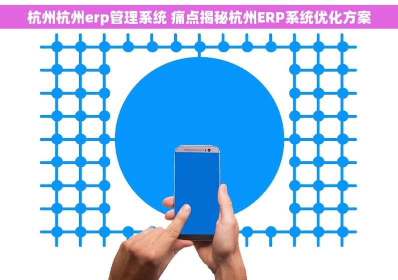 杭州杭州erp管理系统 痛点揭秘杭州ERP系统优化方案