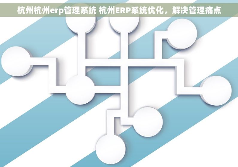 杭州杭州erp管理系统 杭州ERP系统优化，解决管理痛点