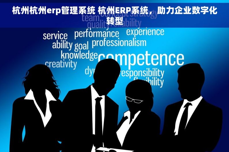 杭州杭州erp管理系统 杭州ERP系统，助力企业数字化转型