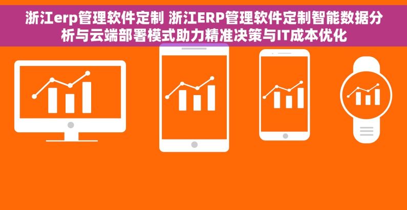 浙江erp管理软件定制 浙江ERP管理软件定制智能数据分析与云端部署模式助力精准决策与IT成本优化