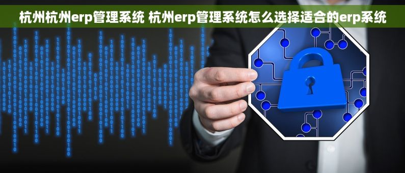 杭州杭州erp管理系统 杭州erp管理系统怎么选择适合的erp系统