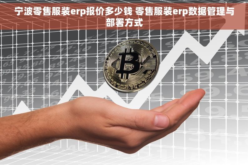宁波零售服装erp报价多少钱 零售服装erp数据管理与部署方式