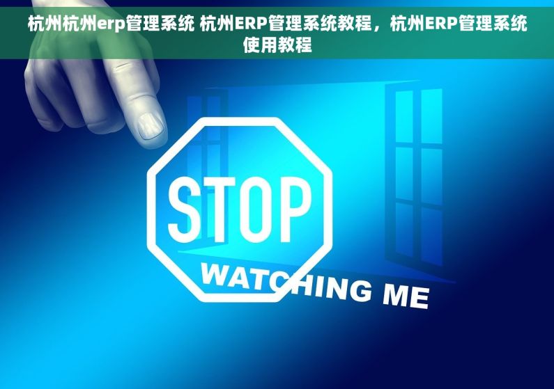 杭州杭州erp管理系统 杭州ERP管理系统教程，杭州ERP管理系统使用教程