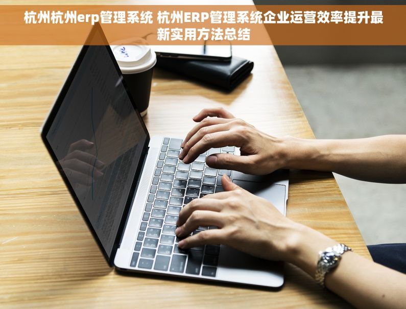 杭州杭州erp管理系统 杭州ERP管理系统企业运营效率提升最新实用方法总结