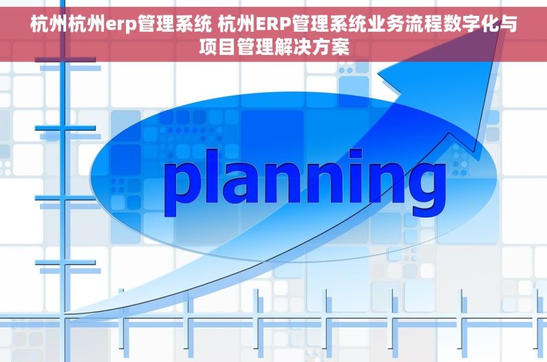 杭州杭州erp管理系统 杭州ERP管理系统业务流程数字化与项目管理解决方案