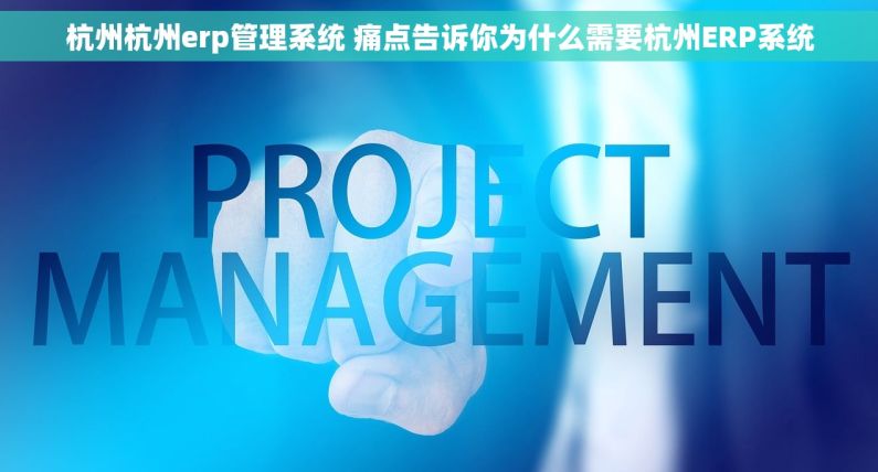 杭州杭州erp管理系统 痛点告诉你为什么需要杭州ERP系统