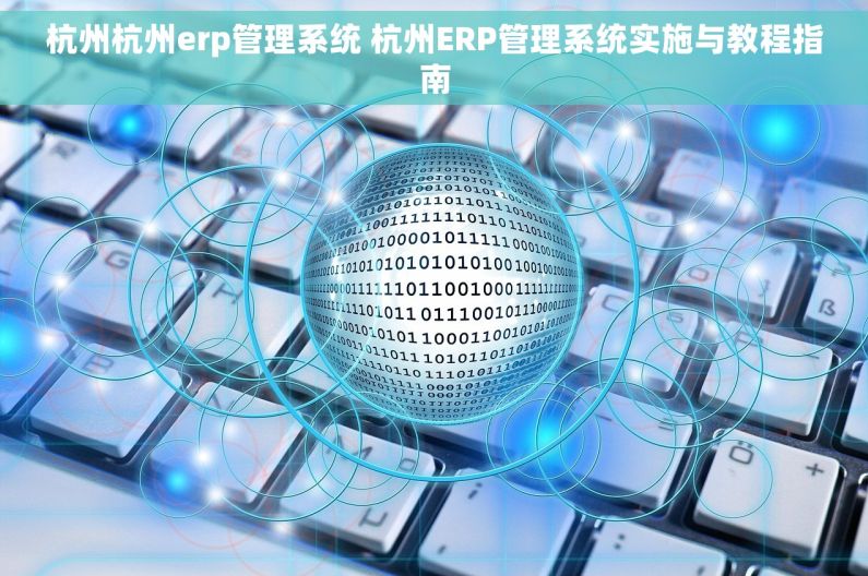 杭州杭州erp管理系统 杭州ERP管理系统实施与教程指南