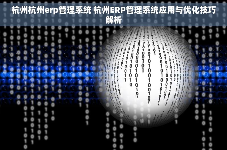 杭州杭州erp管理系统 杭州ERP管理系统应用与优化技巧解析