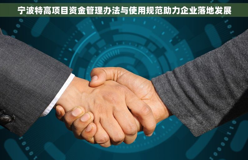 宁波特高项目资金管理办法与使用规范助力企业落地发展