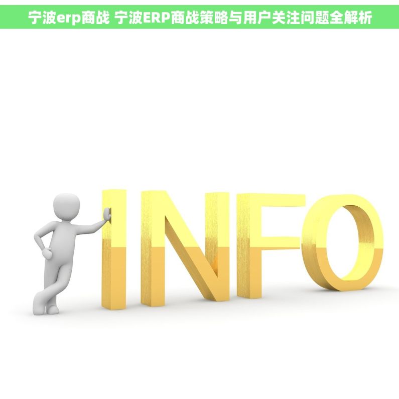 宁波erp商战 宁波ERP商战策略与用户关注问题全解析