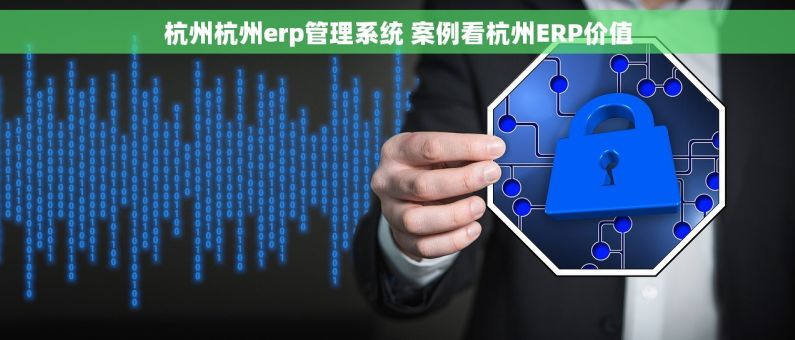 杭州杭州erp管理系统 案例看杭州ERP价值