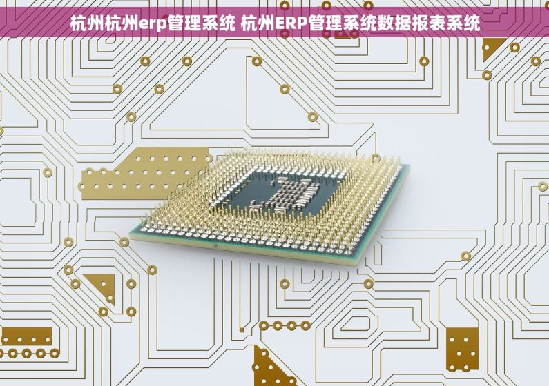 杭州杭州erp管理系统 杭州ERP管理系统数据报表系统