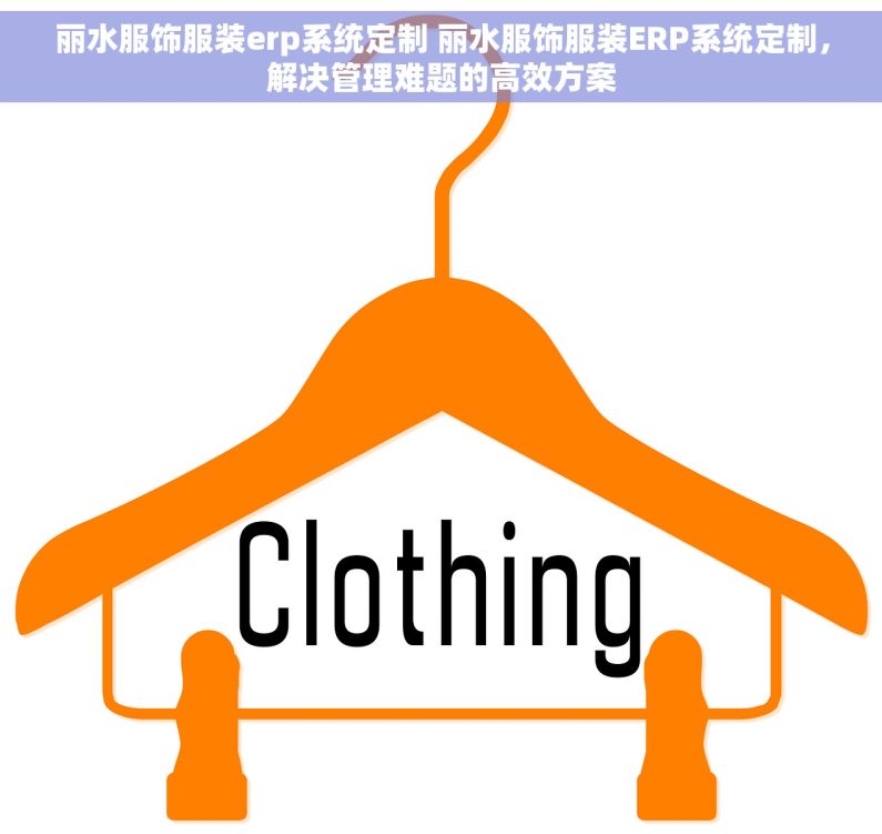 丽水服饰服装erp系统定制 丽水服饰服装ERP系统定制，解决管理难题的高效方案
