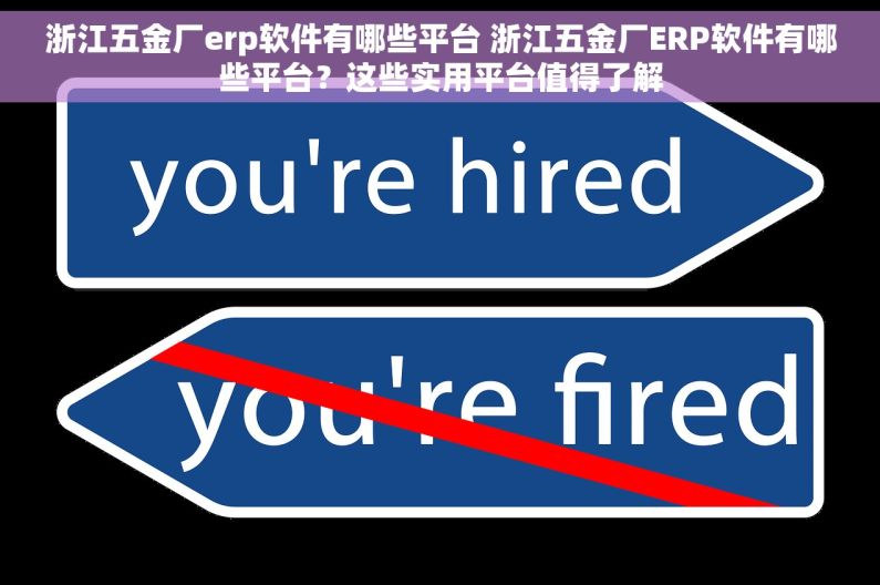 浙江五金厂erp软件有哪些平台 浙江五金厂ERP软件有哪些平台？这些实用平台值得了解