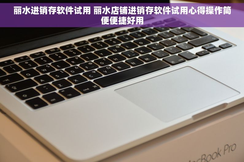 丽水进销存软件试用 丽水店铺进销存软件试用心得操作简便便捷好用
