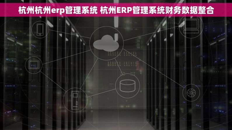 杭州杭州erp管理系统 杭州ERP管理系统财务数据整合