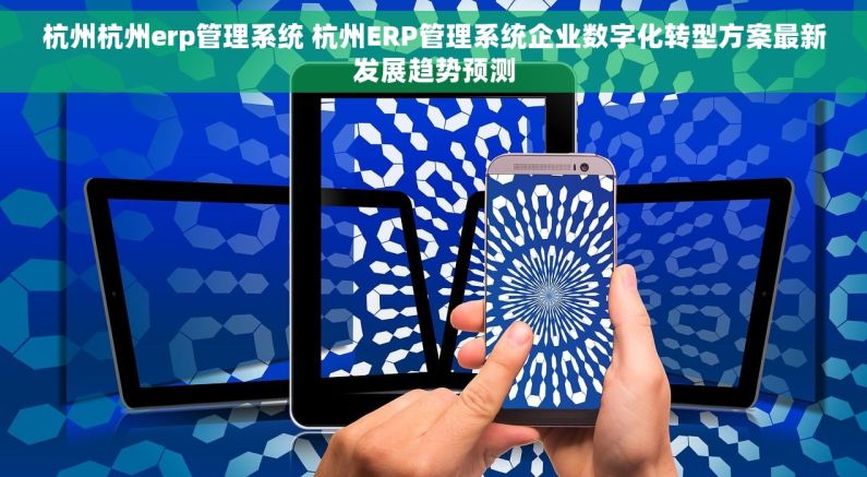杭州杭州erp管理系统 杭州ERP管理系统企业数字化转型方案最新发展趋势预测