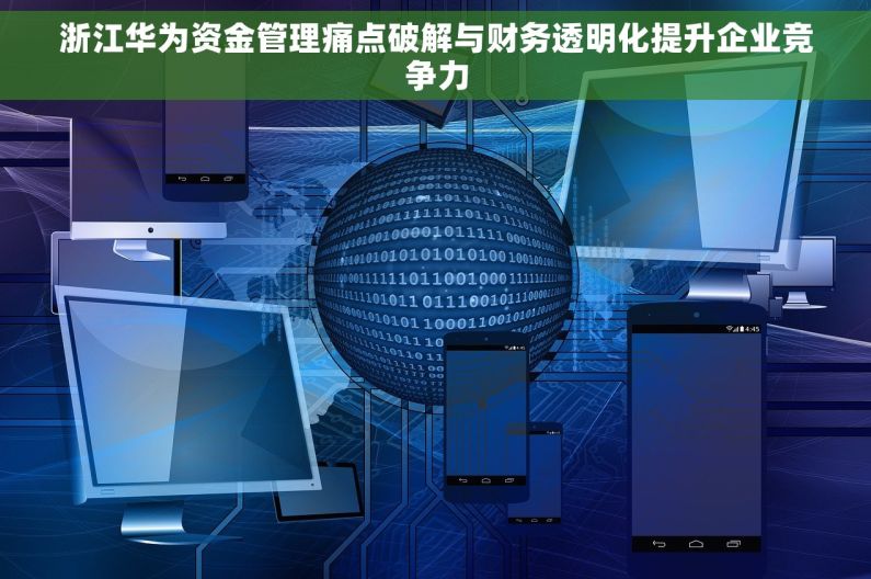 浙江华为资金管理痛点破解与财务透明化提升企业竞争力