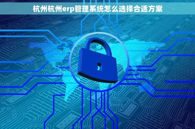杭州杭州erp管理系统怎么选择合适方案